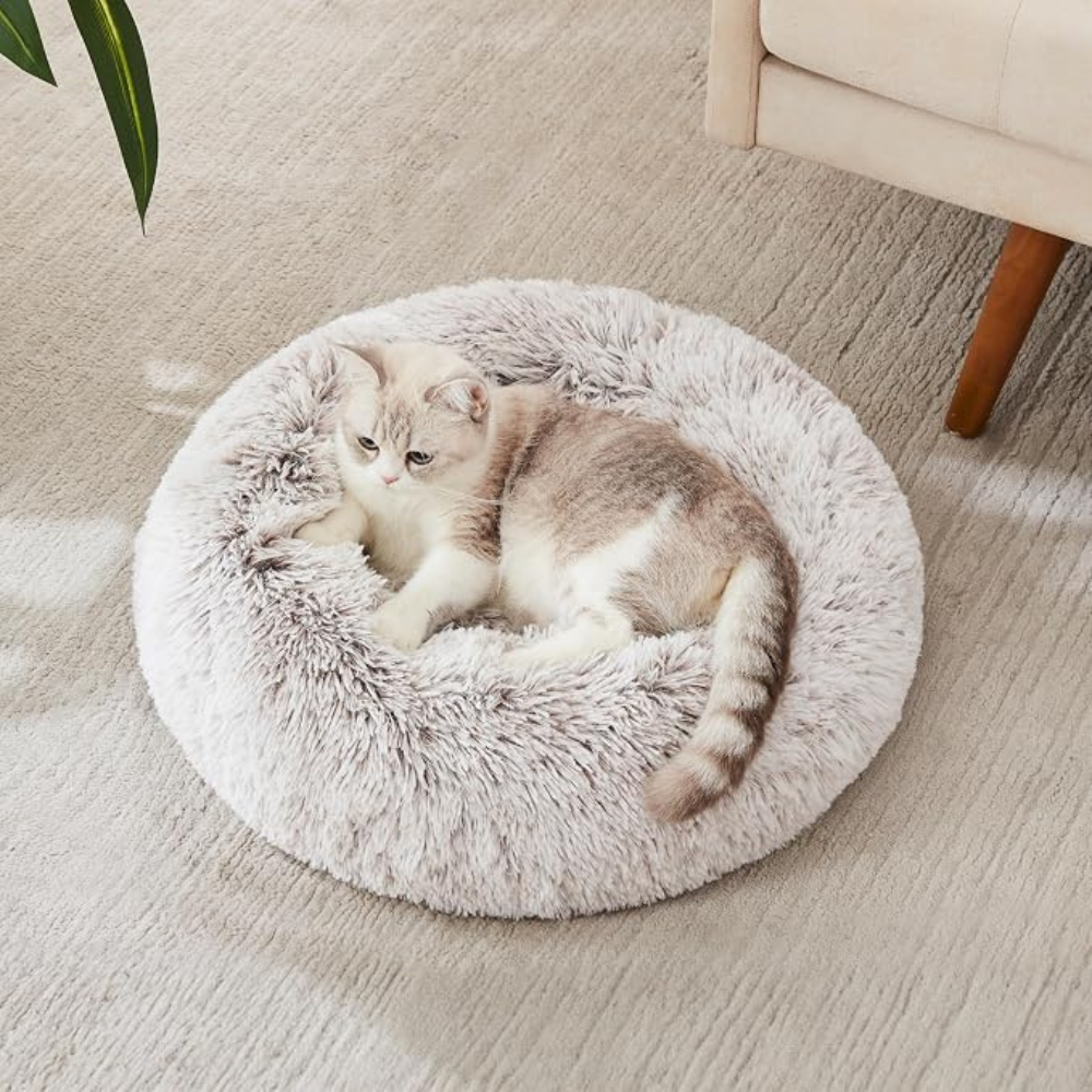 Plush Calming Cat Bed